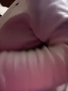 09punjabi online show from February 2025 03:41:02 PM