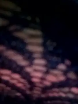 09punjabi online show from March 2025 02:44:01 PM