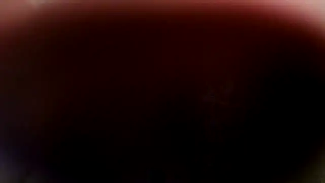 Lustylia online show from January 2026 06:24:02 PM