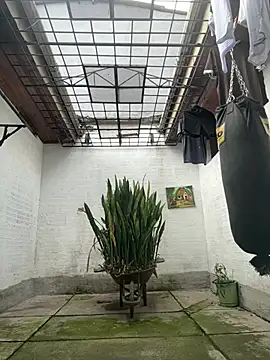 oliver price1 online show from February 2026 02:58:02 PM