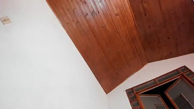 oliver price1 online show from February 2026 02:53:02 AM