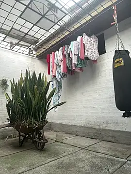 oliver price1 online show from March 2026 09:38:02 PM