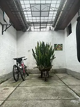 oliver price1 online show from March 2026 06:52:02 PM