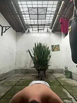 oliver price1 online show from February 2026 02:49:01 PM