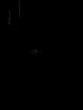 Bernardo085 online show from April 2026 04:16:02 AM