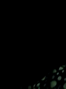 Kolkata   Boy online show from December 2024 06:32:02 PM