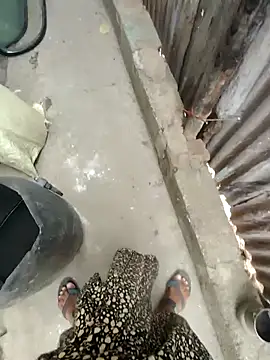 Kolkata   Boy online show from January 2025 11:28:02 AM