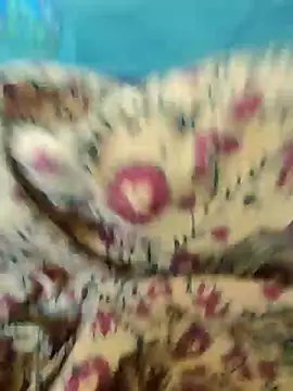 Kolkata   Boy online show from February 2025 08:27:02 AM